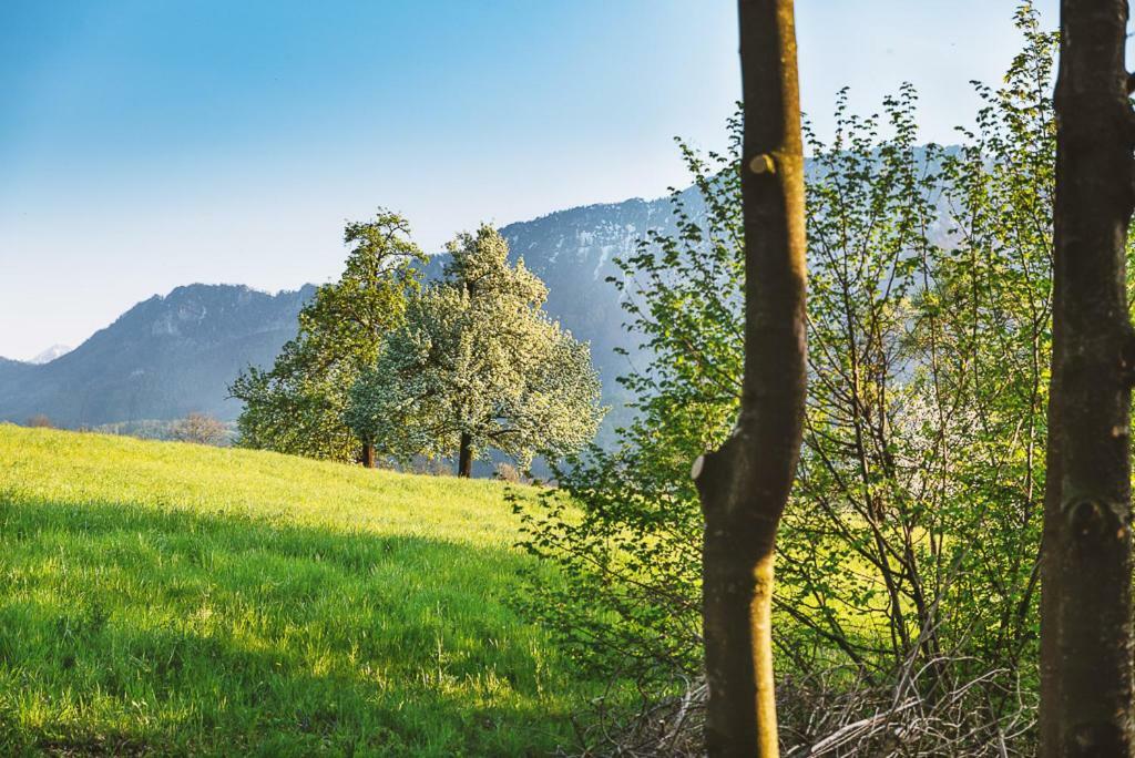 Holiday home Auszeit Beim Oswald